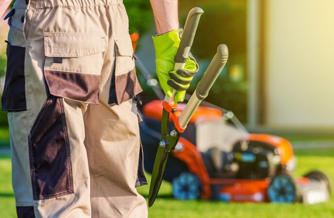Why Landscape Maintenance Is an Important Investment for Your Business