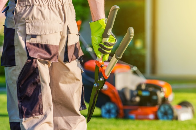 Why Landscape Maintenance Is an Important Investment for Your Business