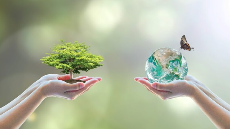 Investing In A Better Future With ESG Investing