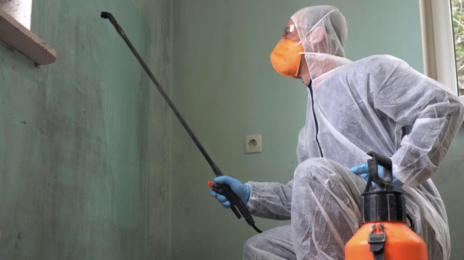 Safeguarding Your Space: The Crucial Role of Asbestos Removal Contractors in Modern Renovation